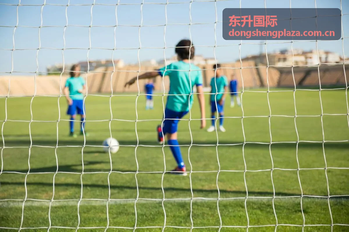 东升国际为制造企业设计效率提升方案